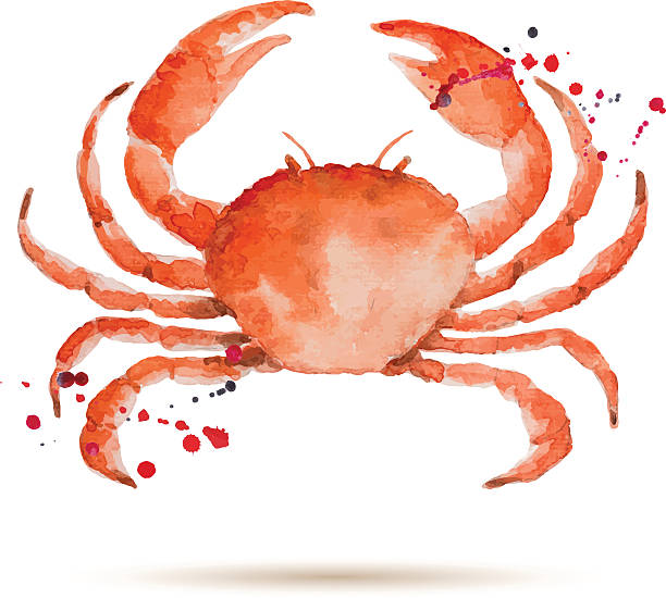 illustrazioni stock, clip art, cartoni animati e icone di tendenza di watercolorcrab - granchio