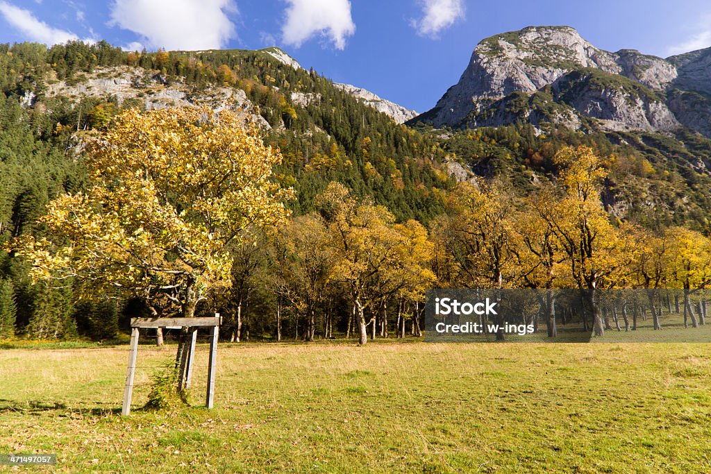 Automne au Grosser Ahornboden - Photo de Alpes européennes libre de droits
