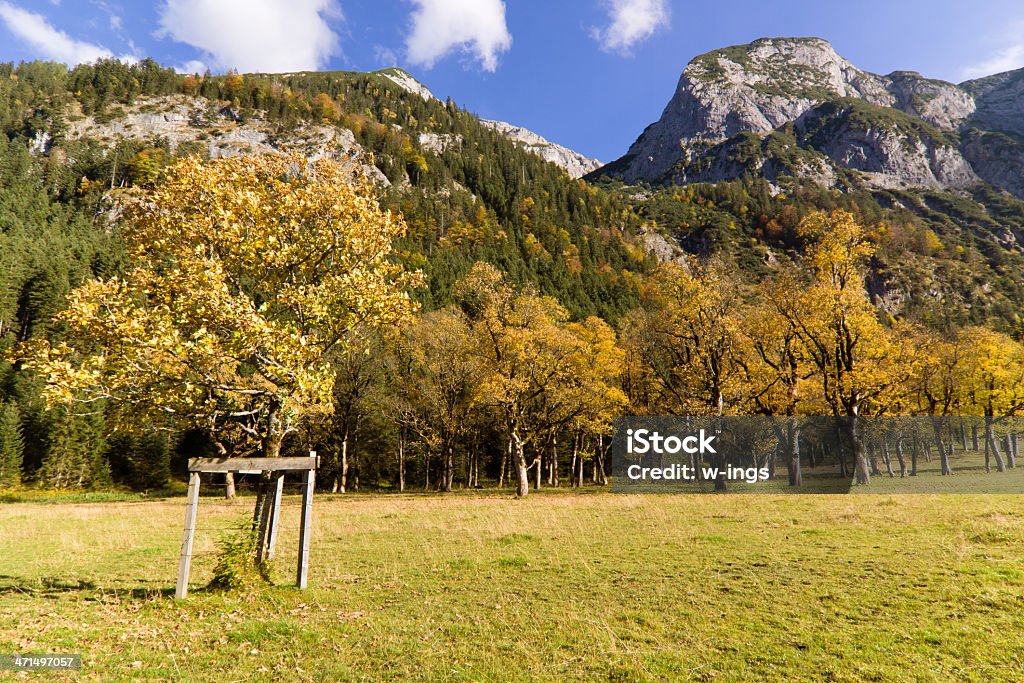 Autunno in Grosser Ahornboden - Foto stock royalty-free di Acero