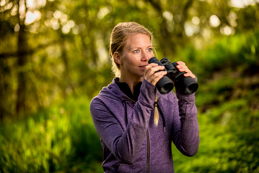 A young and attractive woman exploring a nature setting with binoculars. She is holding a pair of binoculars and surrounded by sunlit forest green and brown colors. She is wearing a purple hoodie and has blond hair and a braid. The image has copy space and a shallow depth of field.