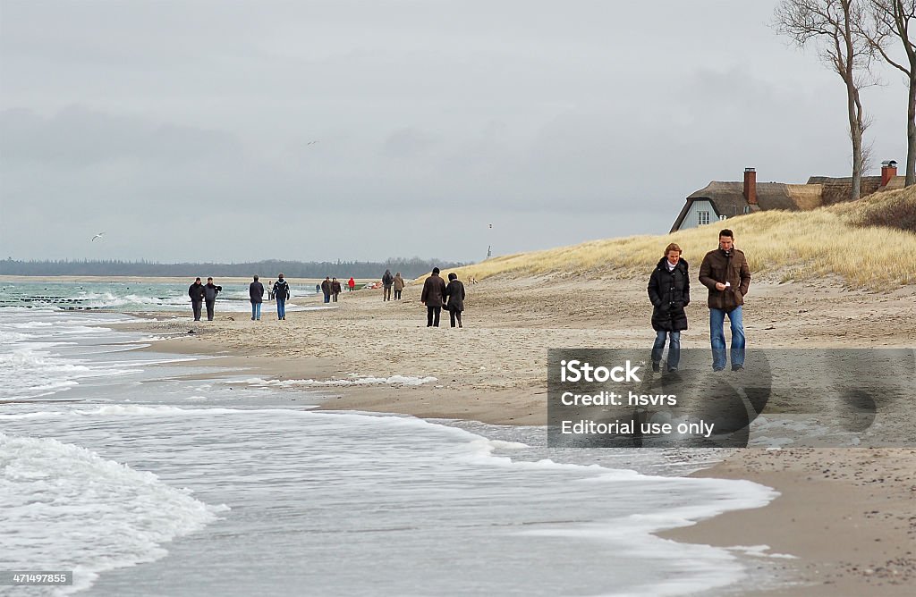 人々徒歩でのビーチ沿いのバルト海 Darss ペニンシュラ - ドイツのロイヤリティフリーストックフォト