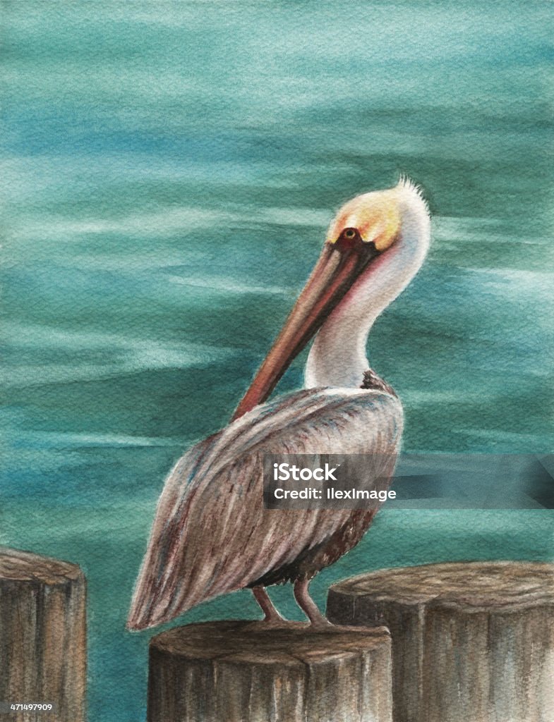 Pelican on Pier Photograph of a water color painting. Original size 8" x 10.5", resolution 300 ppi. Pelican stock illustration