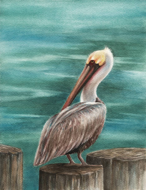 Pelican on Pier vector art illustration