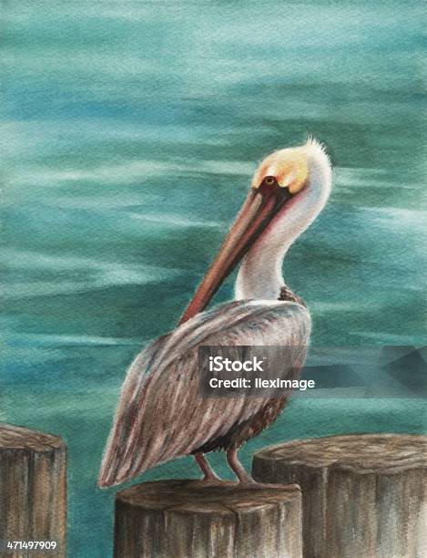 Pelican On Pier Stock Illustration - Download Image Now - Pelican, Painting - Art Product, Watercolor Painting