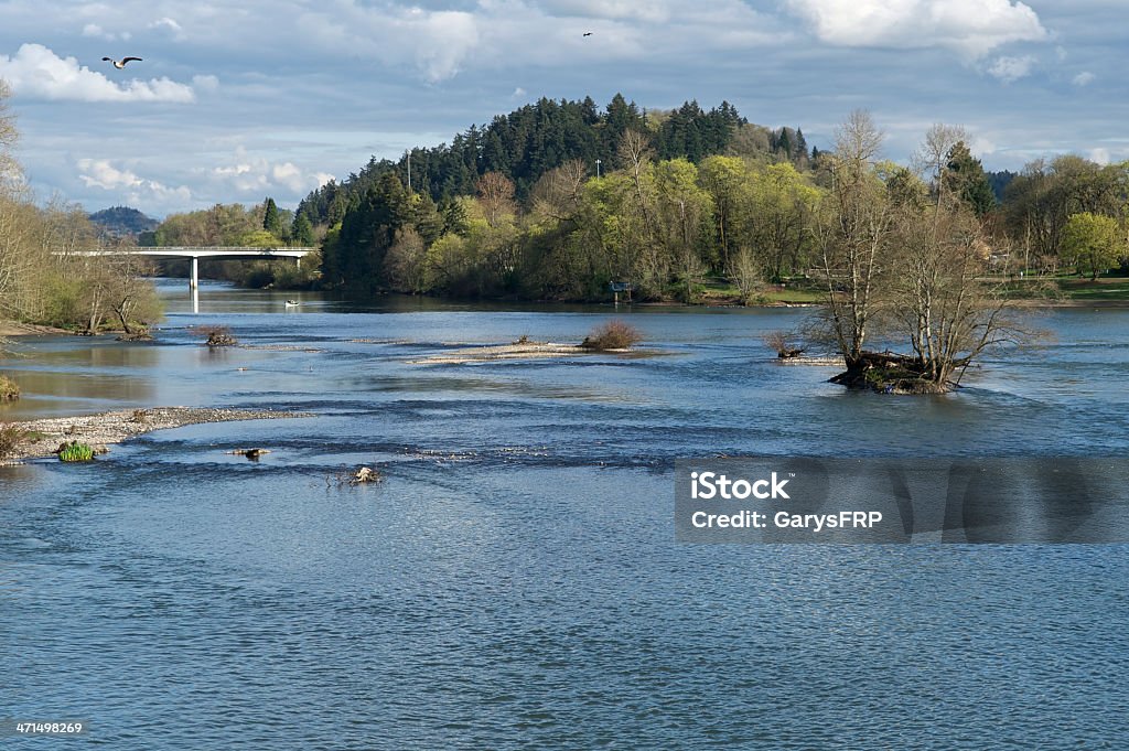 Willamette River Interstate 105 Eugene Oregon Interstate 105 ( I-105 ) spans the Willamette River in Eugene Oregon. A bike / Walking trail runs along both sides of the river in this area. Although this looks rural, a shopping center and residential neighborhoods are just a few blocks away. A drift boat can be seen near the bridge.  Bird Stock Photo