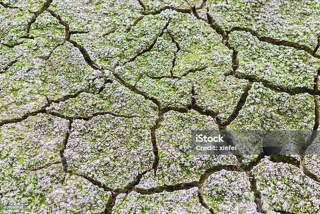 arid land dry crack erosion Arid Climate Stock Photo