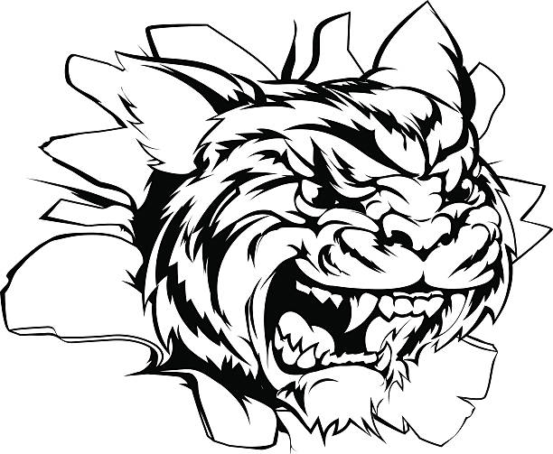 Tiger sports mascot smashing out Tiger breakthrough illustration of a red dragon breaking out university of missouri columbia stock illustrations
