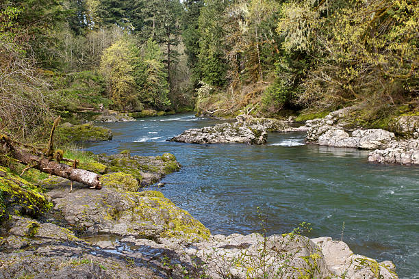 istock South Santiam River Boulders Trees Moss Western Oregon 471501985