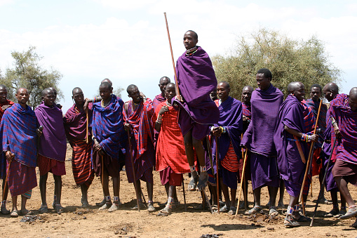Masai Mara, Kenya-September 17, 2006:  Masai Warriors perform the Adumu to demonstrate their strength and stamina.