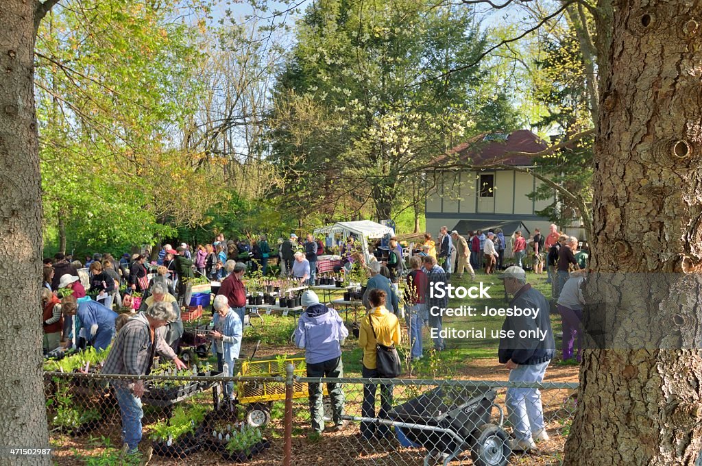 Audrey Carroll nativo de venda - Royalty-free Maryland - Estado Foto de stock