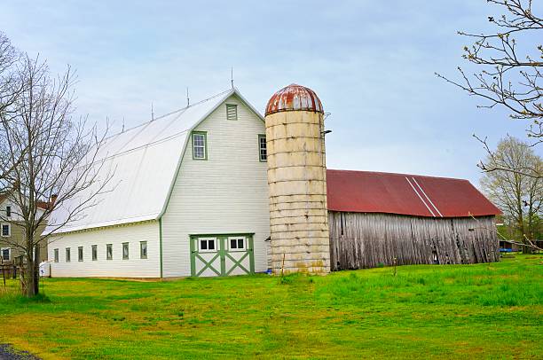 istock Delmarva Barn, Silo and Shed With Red Roof 471503188