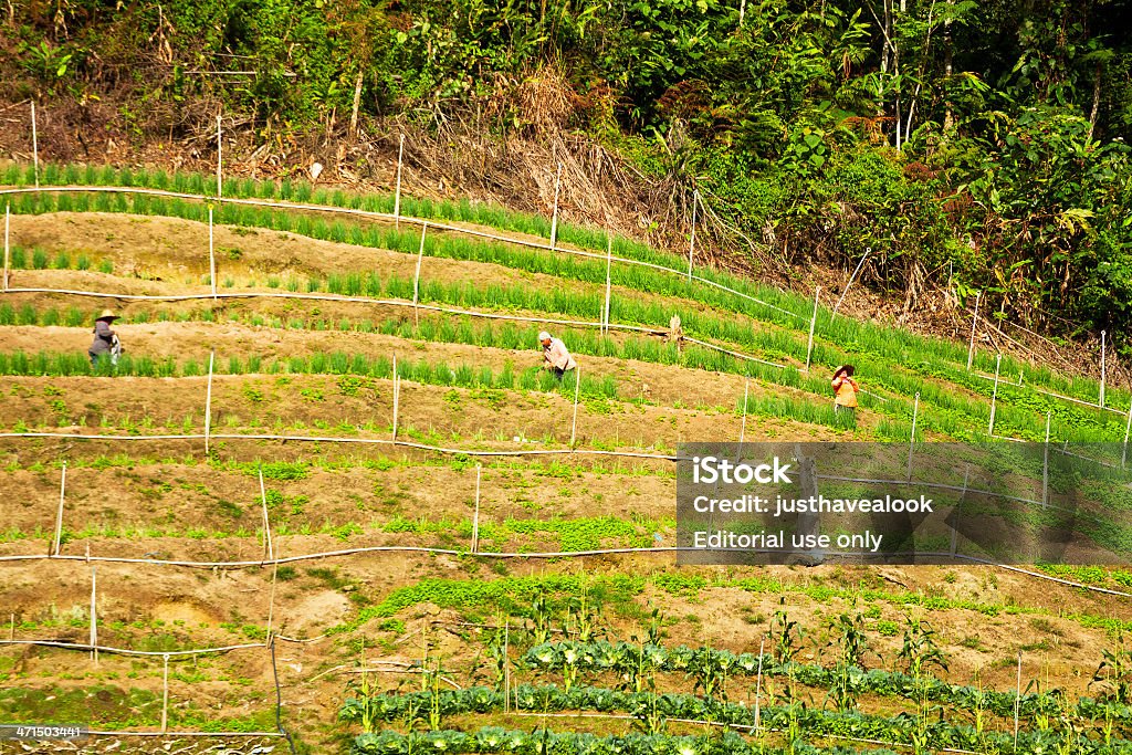 Landwirte bei der Arbeit - Lizenzfrei Agrarbetrieb Stock-Foto