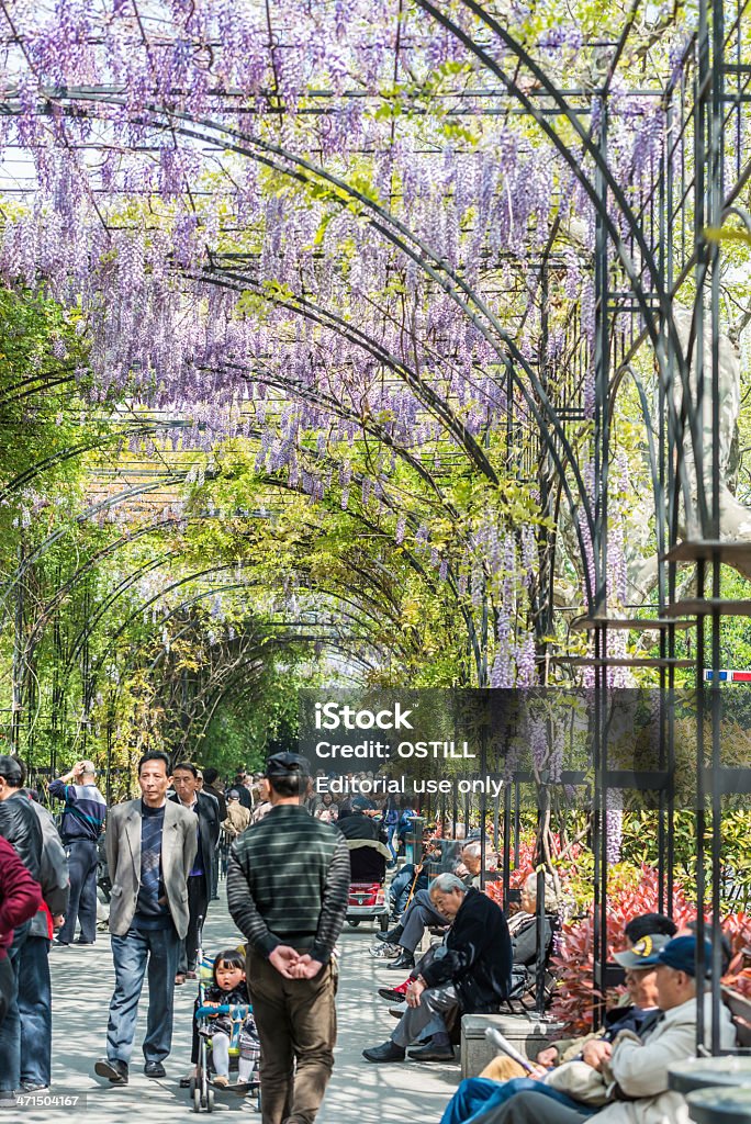 Pessoas a caminhar e relaxante em Glicínia lane fuxing park Xangai - Royalty-free Adulto Foto de stock