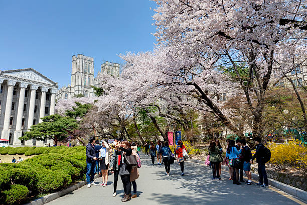 hee kyung campus da universidade, seul, coreia do sul - built structure building exterior asian culture seoul - fotografias e filmes do acervo