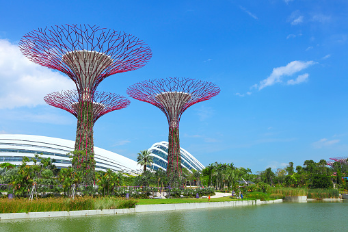 Singapore , Singapore - February 27, 2013: Super tree with water pond in gardens by the Bay in Singapore Marine Bay