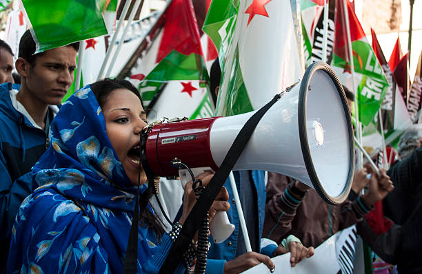 free sahara - occupy movement foto e immagini stock