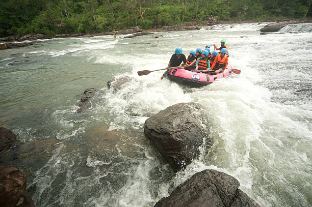 뗏목 레이싱. - rafting strength excitement men 뉴스 사진 이미지