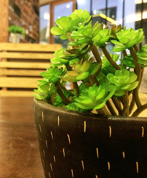 istock Small Tree in Dark Brown Flowerpot at Corner 471510126