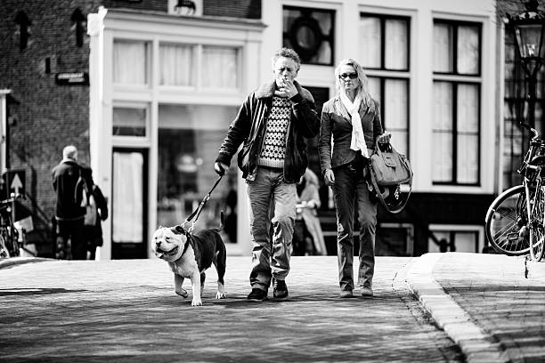 couple walking with a dog down the street stock photo