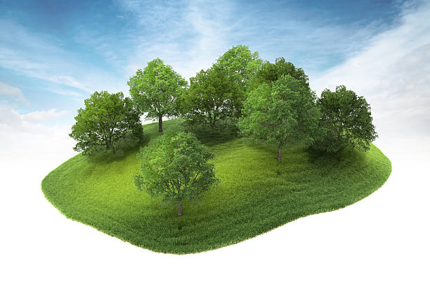 istock island with grove floating in the air 471510376