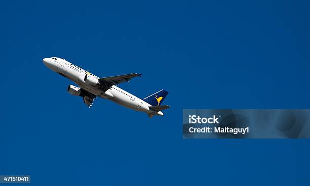 Airone - Fotografie stock e altre immagini di Aereo di linea - Aereo di linea, Aeronautica, Aeroplano