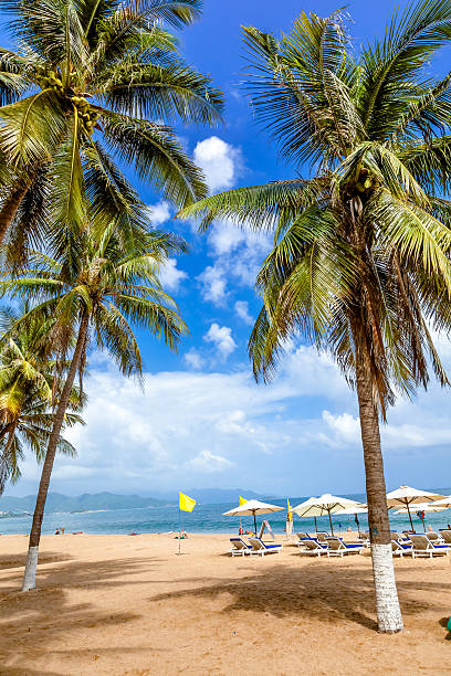 istock holiday season in Beach. 471512682