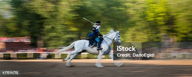 Evento Italia 150 Bianco - Fotografie stock e altre immagini di Anniversario - Anniversario, Cavallo - Equino, Composizione orizzontale