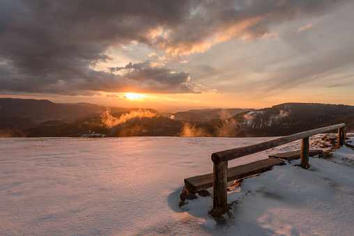 Black Forest,Sunset,Forest,sun,