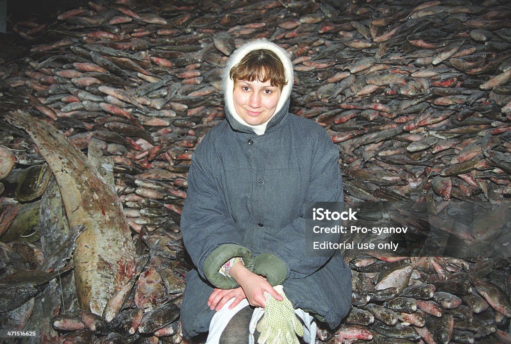 Jeune femme de travail - Photo de Adulte libre de droits