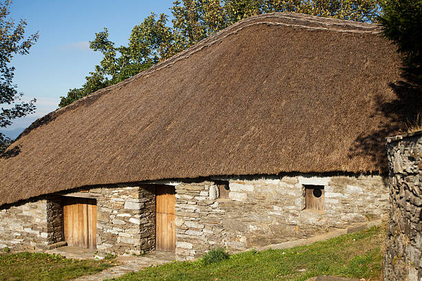 "palloza" pedrafita fare cebreiro (lugo, spagna). - fernando lugo foto e immagini stock