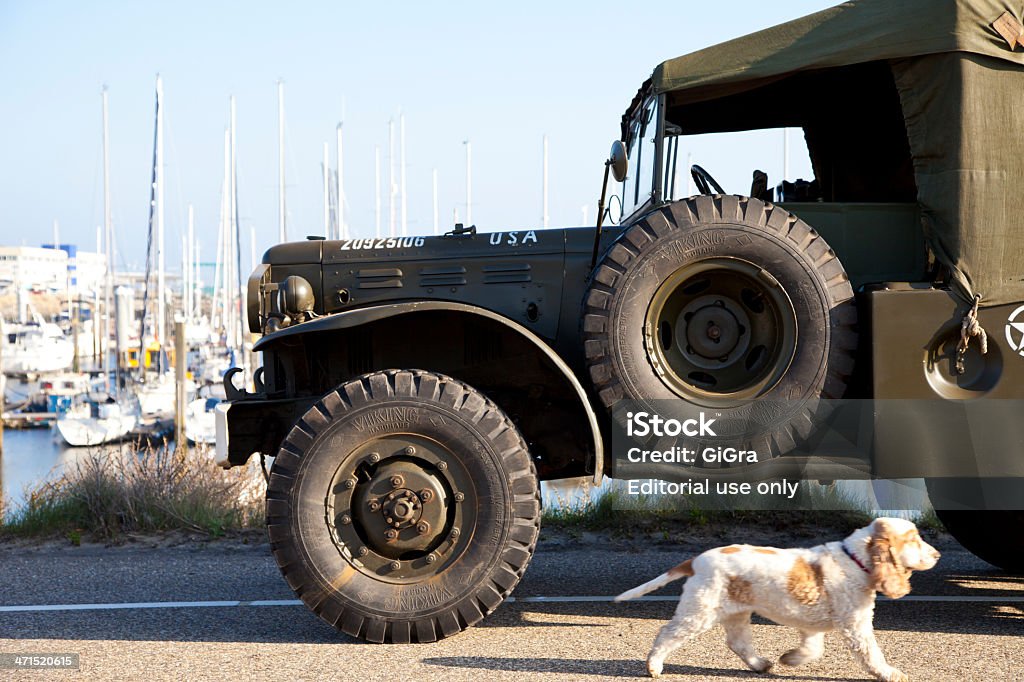 Ejército de camiones de organización Kelly héroes riding en la playa - Foto de stock de Aire libre libre de derechos