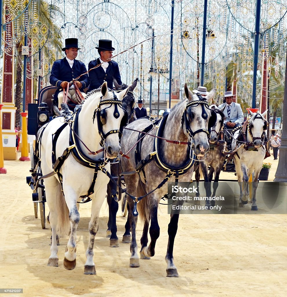Ludzie w przewozu koni - Zbiór zdjęć royalty-free (Andaluzja)