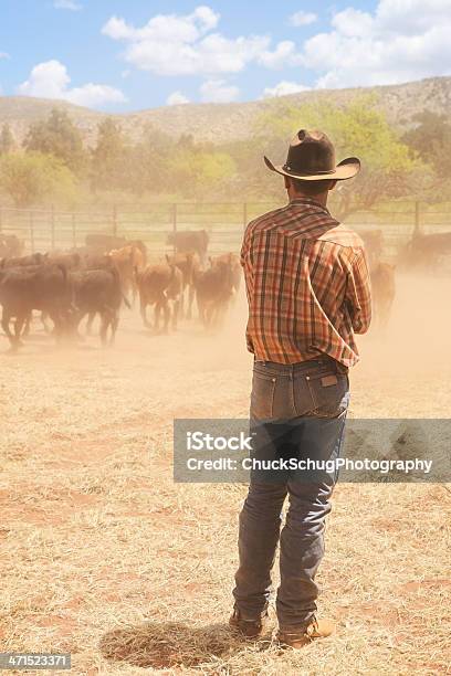 Foto de Cowboy Wrangler Rancho De Gado Corral e mais fotos de stock de Gado - Gado, Rancheiro, Adulto