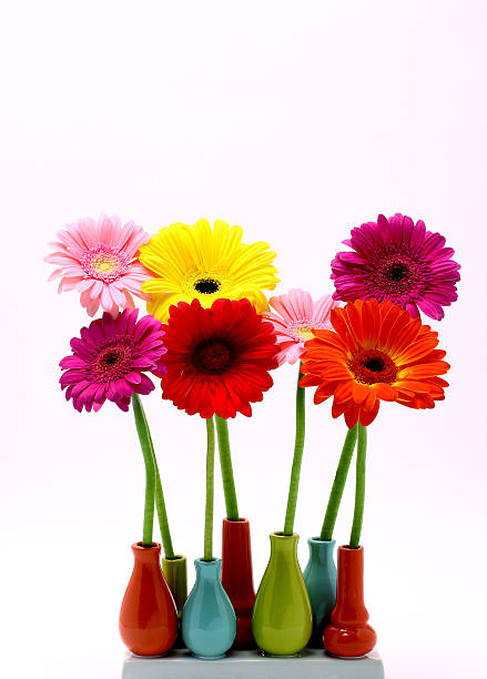 istock Colorful flowers 471524622