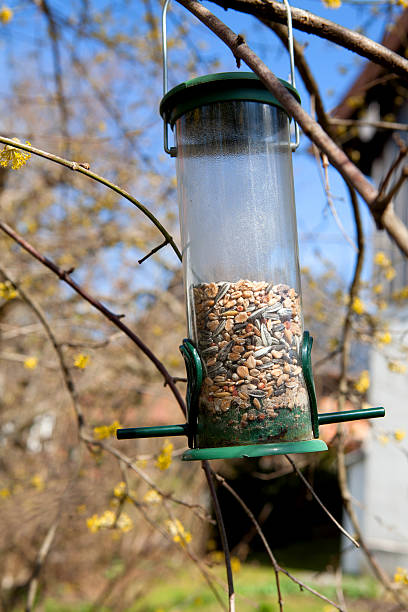 鳥の餌箱の木 - film feeder ストックフォトと画像