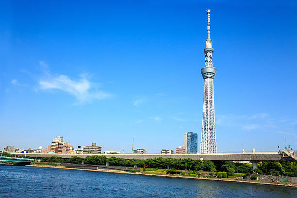 Tokyo Skytree View of Tokyo Skytree from Sumida river - MAY 11, 2014 sumida ward photos stock pictures, royalty-free photos & images