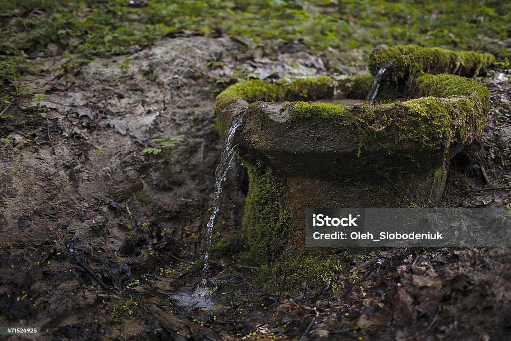 wellspring Water flowing from natural wellspring Beginnings Stock Photo