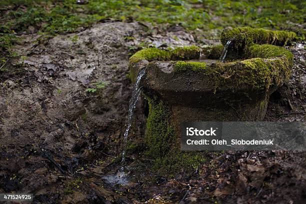 Wellspring Stock Photo - Download Image Now - Beginnings, Brown, Clean