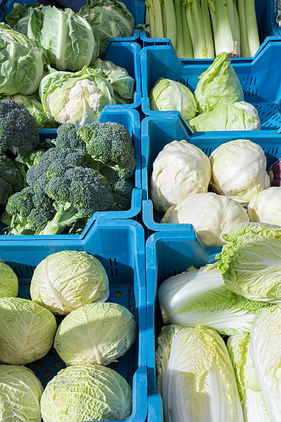 istock Assortment of green with white cabbages and vegetables 471526028
