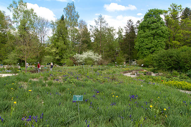 spa jardim em bad wörishofen - anwendung imagens e fotografias de stock