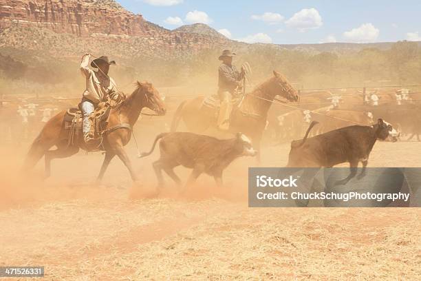 Foto de Cowboys Aventureiros Vão Rebanho De Gado e mais fotos de stock de Rancho - Rancho, Vaqueiro, Adulto