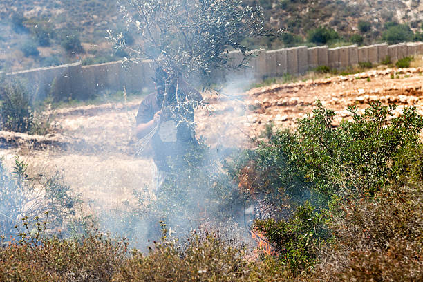 fogo em um campo de palestinianos por parede de separação - bilin - fotografias e filmes do acervo