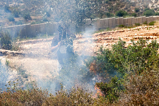 пожар в палестинский поле на стене разделение - bilin стоковые фото и изображения