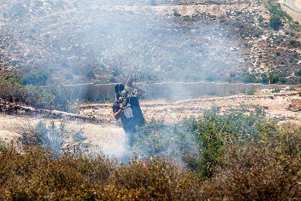 пожар в палестинский поле на стене разделение - bilin стоковые фото и изображения