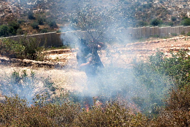 fogo em um campo de palestinianos por parede de separação - bilin - fotografias e filmes do acervo