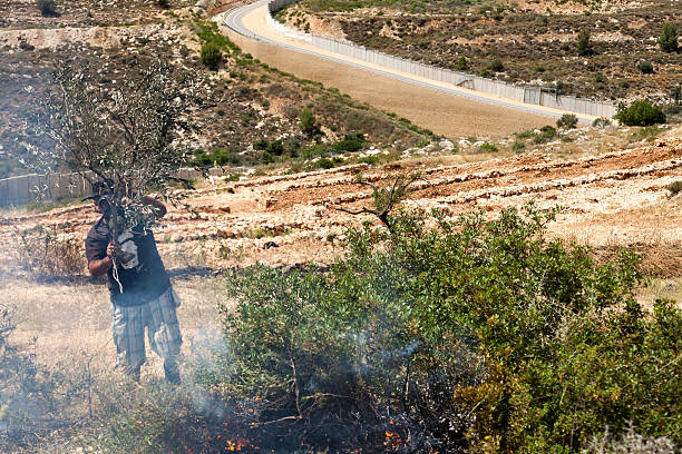 pożar w polu palestyny przez ściany oddzielenia - bilin zdjęcia i obrazy z banku zdjęć