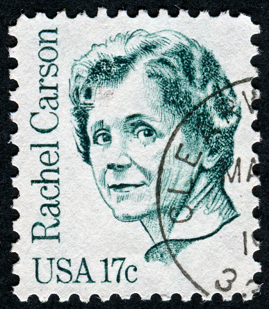 Vernon, Connecticut, USA - February 23, 2008: U. S. postage stamp issued in 1981 depicts biologist and ecologist and author Rachel Carson. She wrote a controversial book about pesticides and was recognized posthumously by President Carter who awarded her the Presidential Medal of Freedom. She died in 1964.