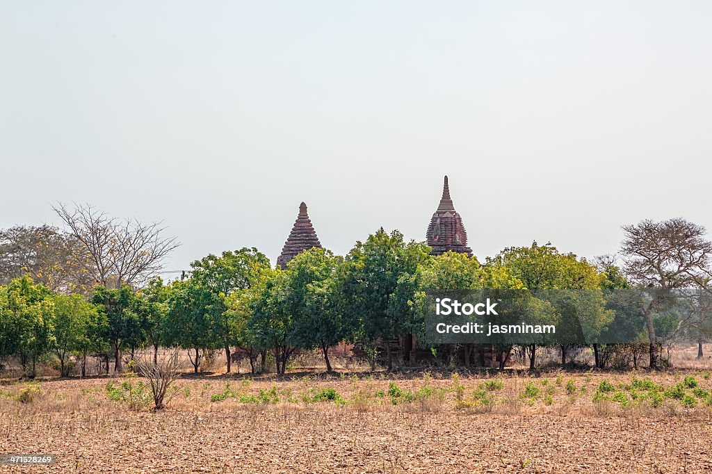 panorama di Bagan - Foto stock royalty-free di Agricoltura