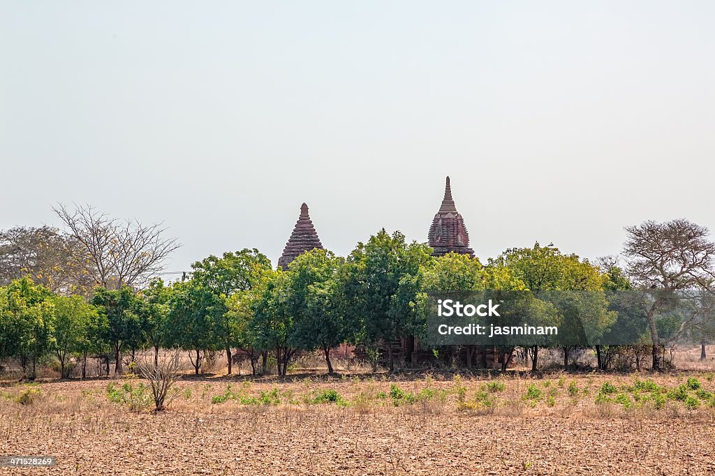 panorama de Bagan - Foto de stock de Agricultura royalty-free