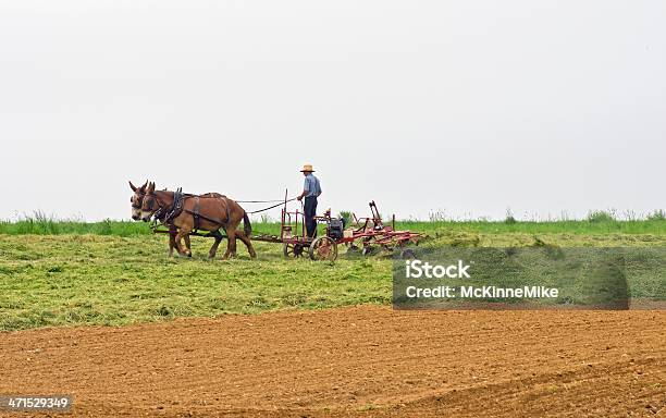 Photo libre de droit de Couper De Foin banque d'images et plus d'images libres de droit de Agriculture - Agriculture, Amish, Couper